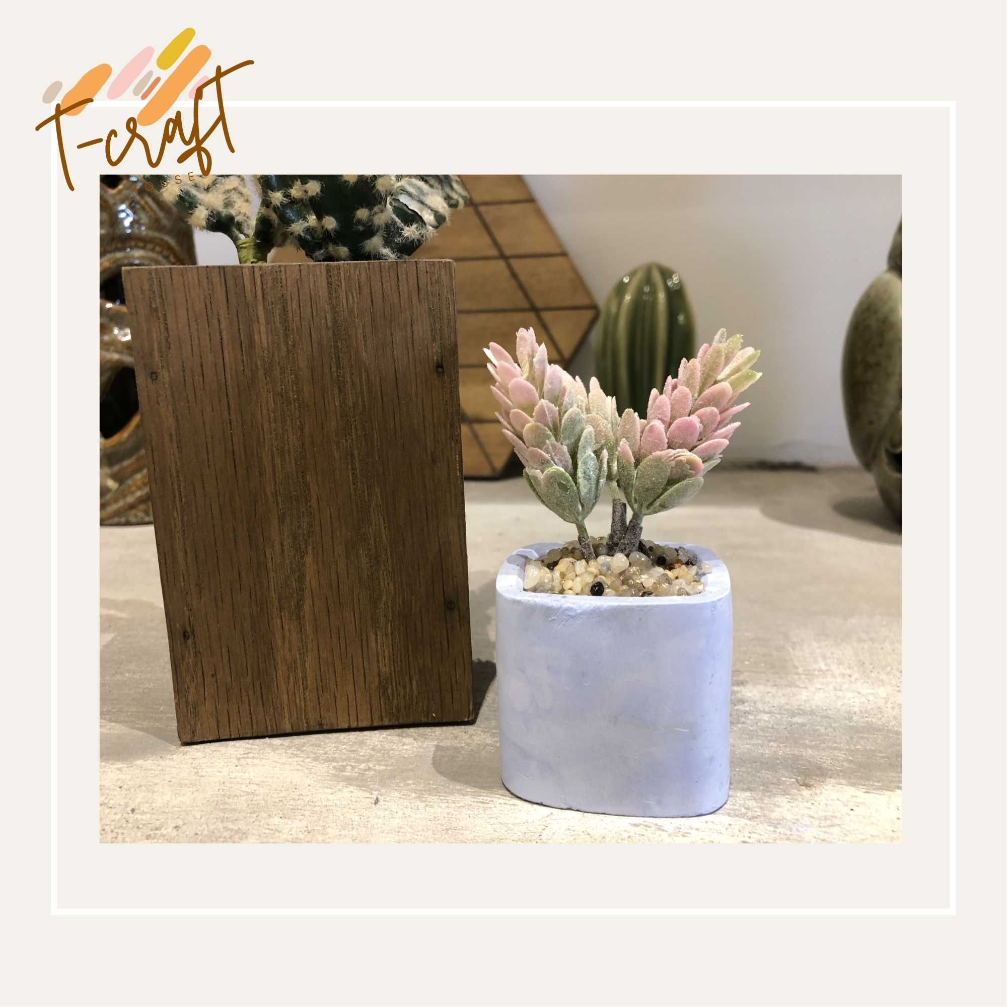 CÂY GIẢ CHẬU THẠCH CAO NHÀ LÀM NHIỀU MÀU SẮC CHO KHÔNG GIAN THÊM SỐNG ĐỘNG VÀ TƯƠI MÁT T.CRAFT HOUSE