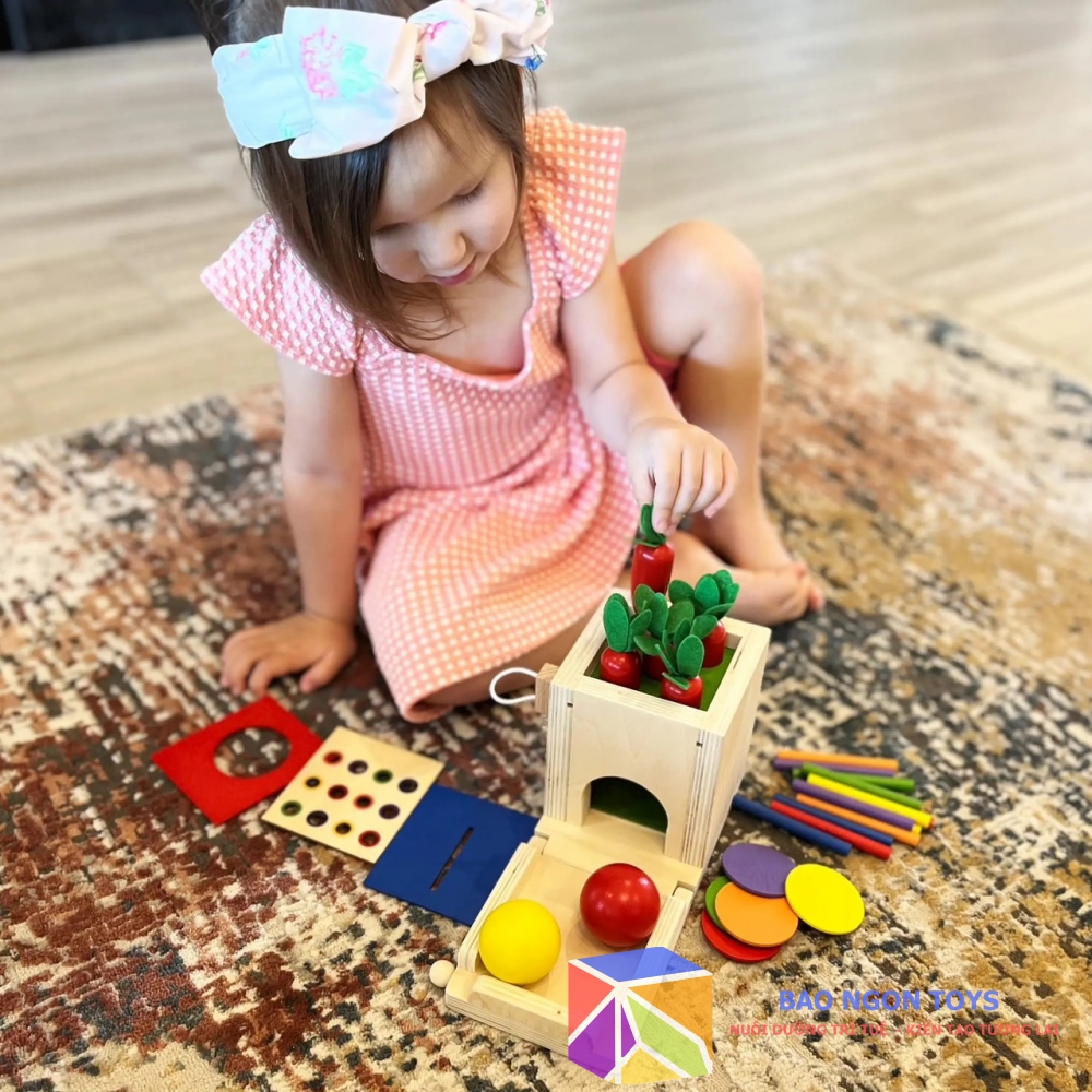 Hộp thả bóng montessori đa chức năng giúp bé phát triển vận động tinh đồ chơi câu sâu, trồng cà rốt BAO NGON TOYS DG178