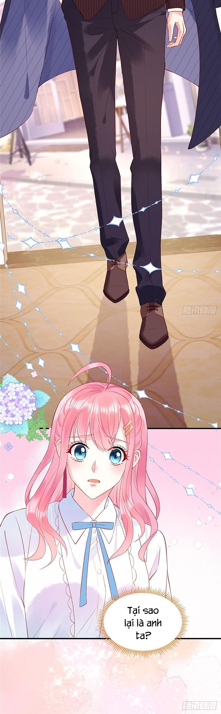 cô thỏ của chủ tịch sói chapter 3 18