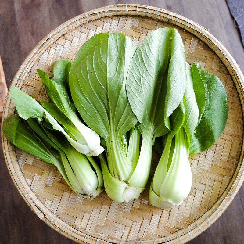 Cải thìa gói 450g – 400200050001