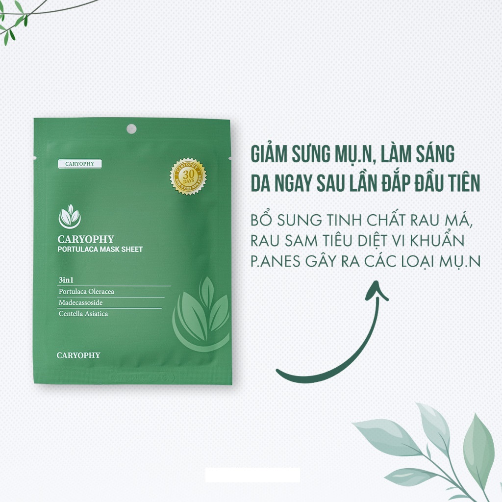 Mặt Nạ Da Giảm Mụn Chuyên Sâu Caryophy Portulaca Mask Sheet 22gr
