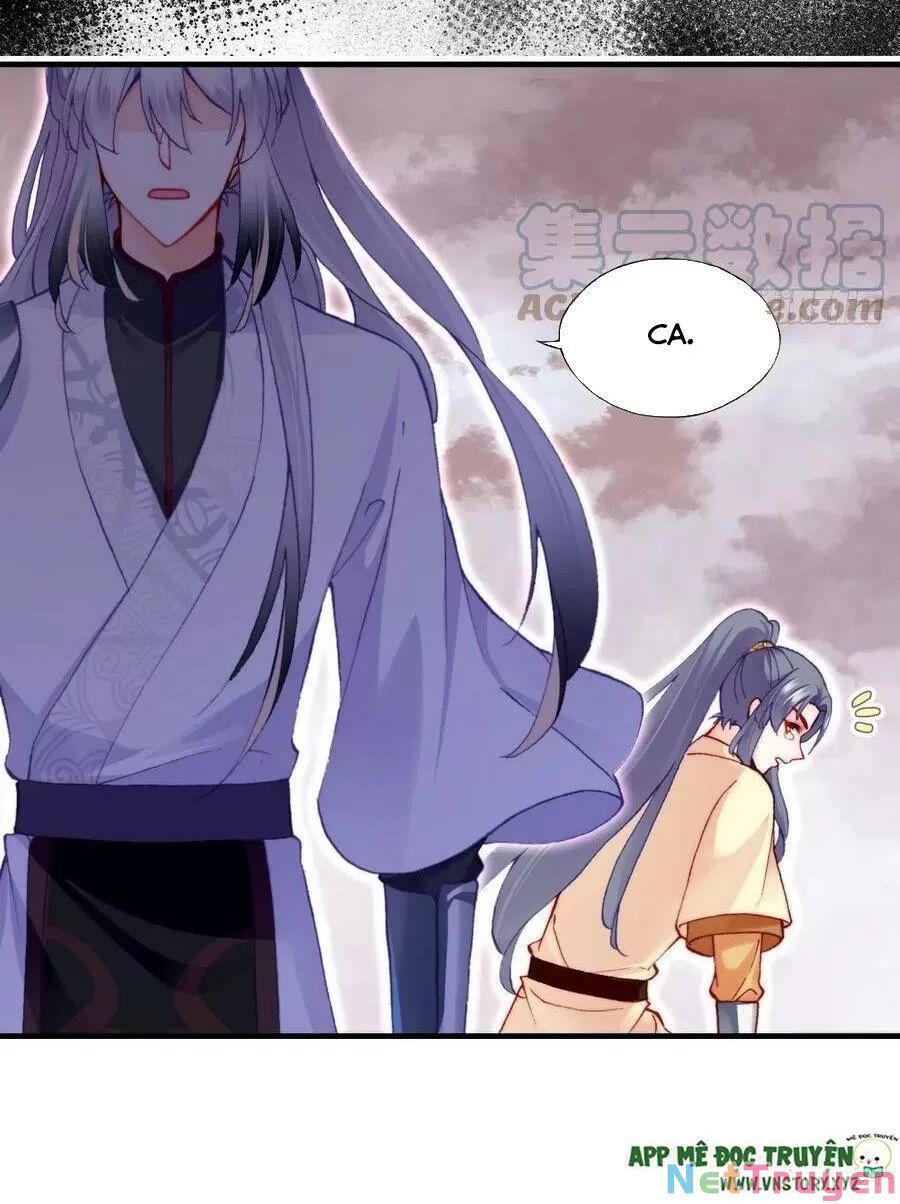 lại bị bệnh chiều chuộng quấn lấy chapter 67 10