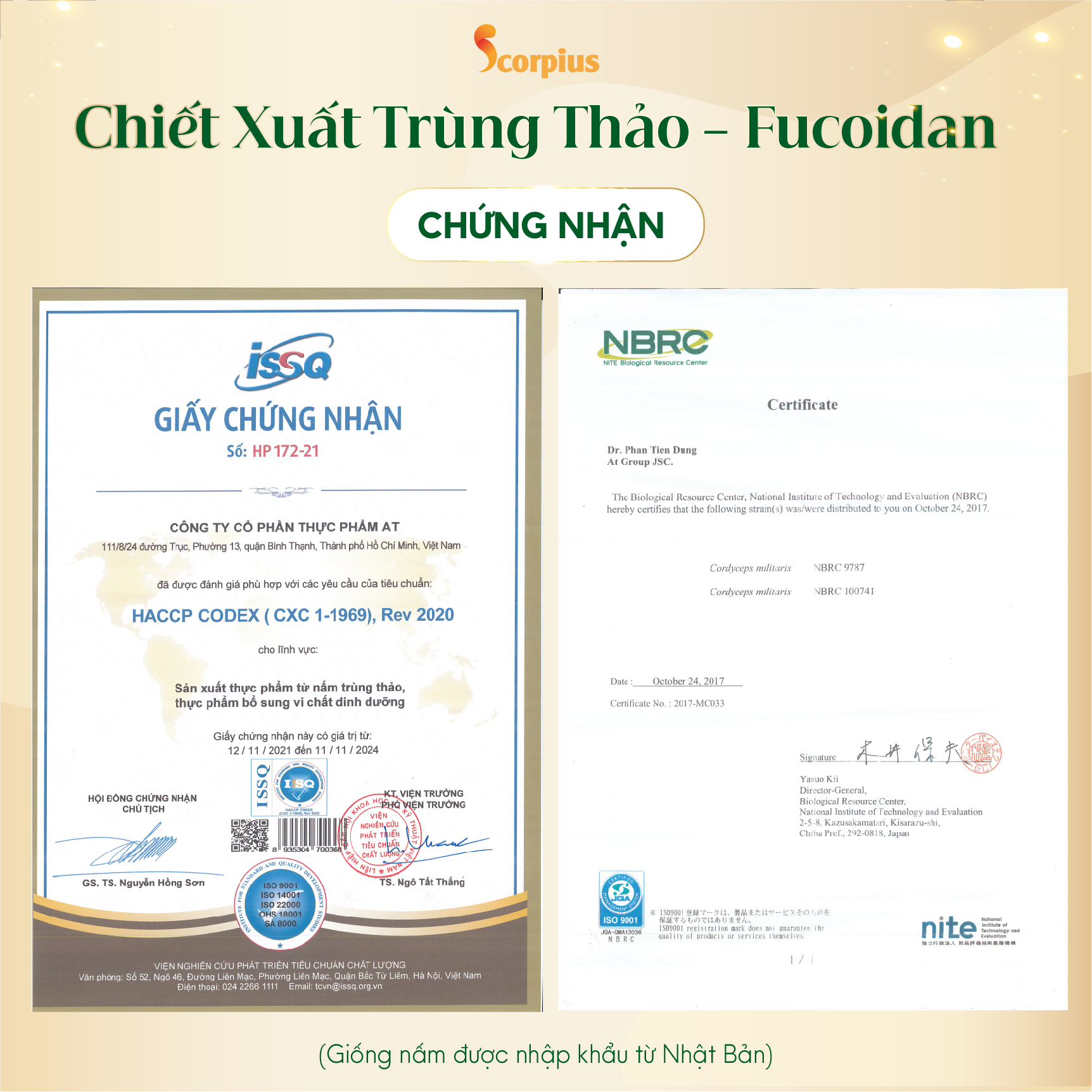 [LOẠI THƯỢNG HẠNG] Nước chiết xuất trùng thảo fucoidan SCORIUS 70ml bồi bổ sức khỏe