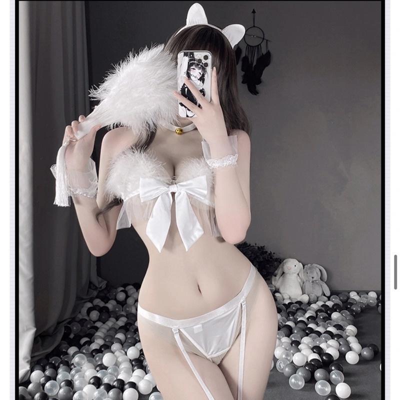Set cosplay bé mèo đáng yêu . Giao hỏa tốc HCM