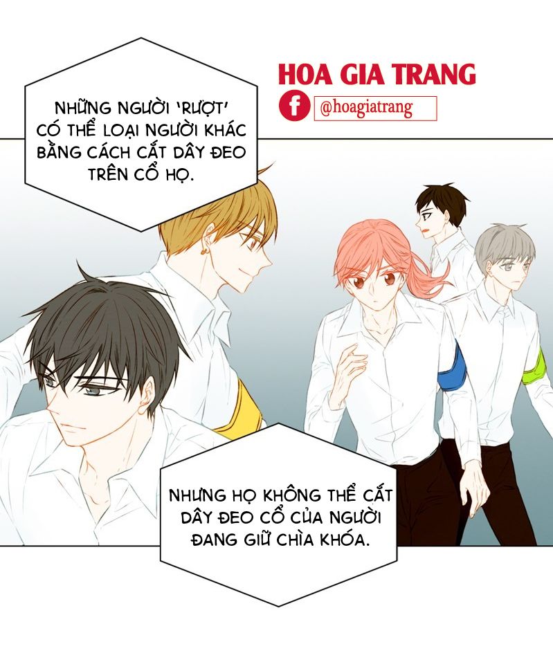 sao chép chapter 61 22