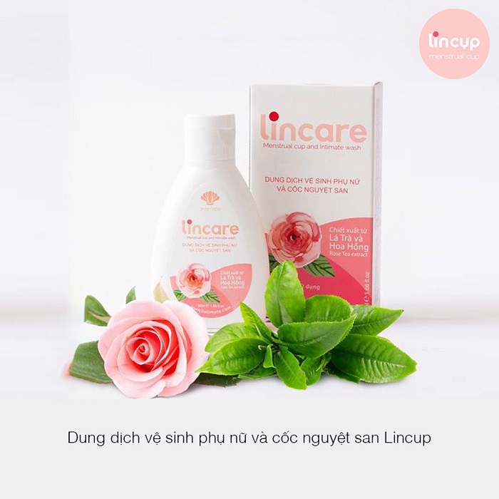 Cốc Nguyệt San LINCUP (Tặng dung dịch vệ sinh cốc nguyệt san Lincare Rose + Cốc tiệt trùng)