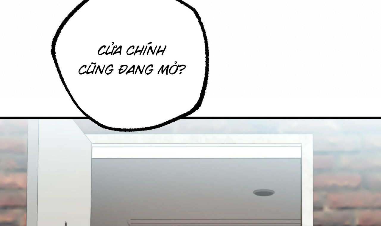 đàn thỏ của habibi chapter 50 35