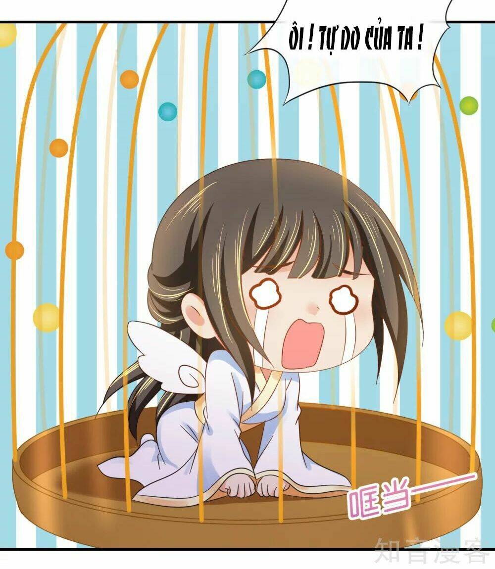 lãnh cung phế hậu muốn nghịch thiên chapter 138 13