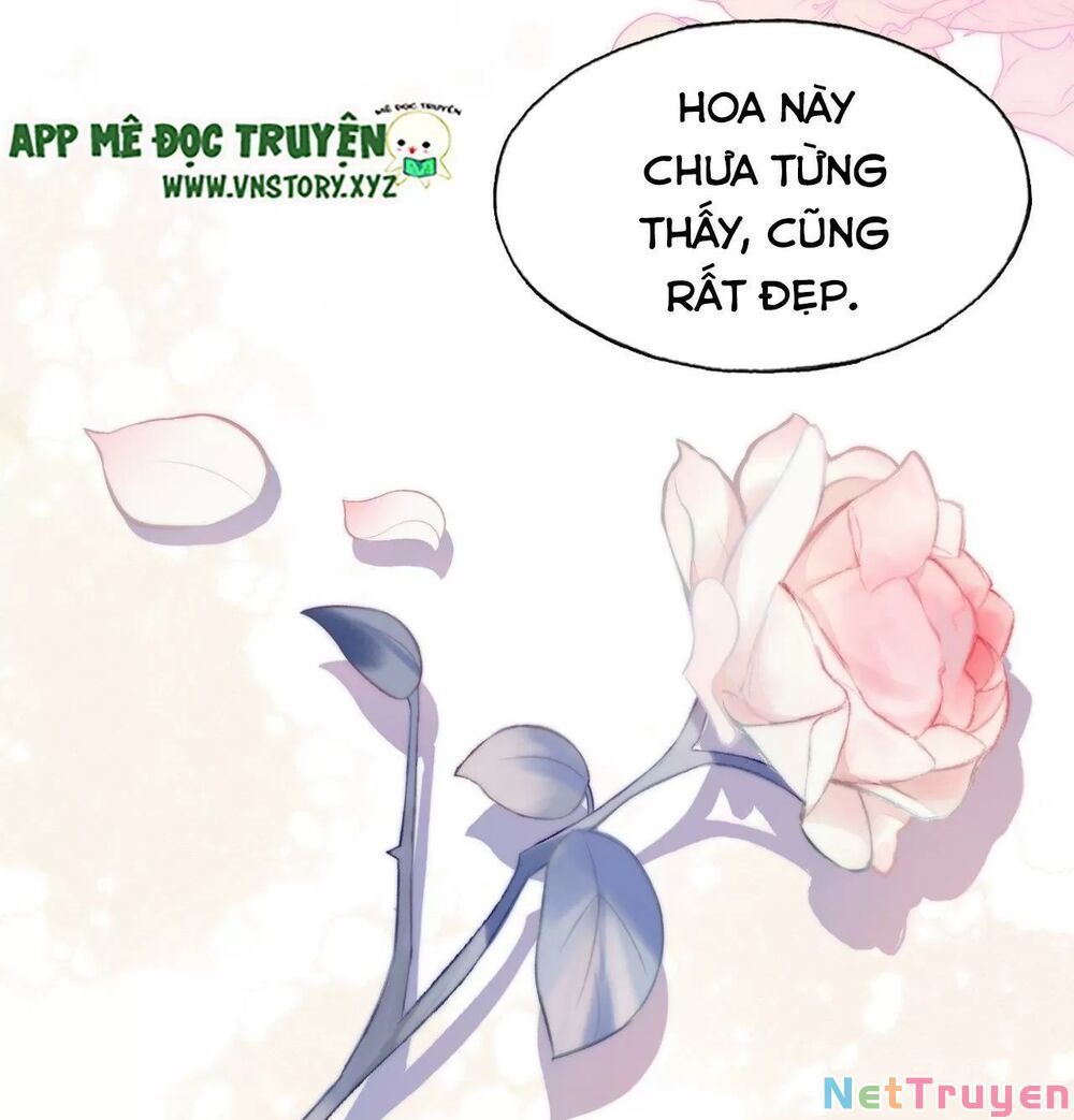 lại bị bệnh chiều chuộng quấn lấy chapter 63 66