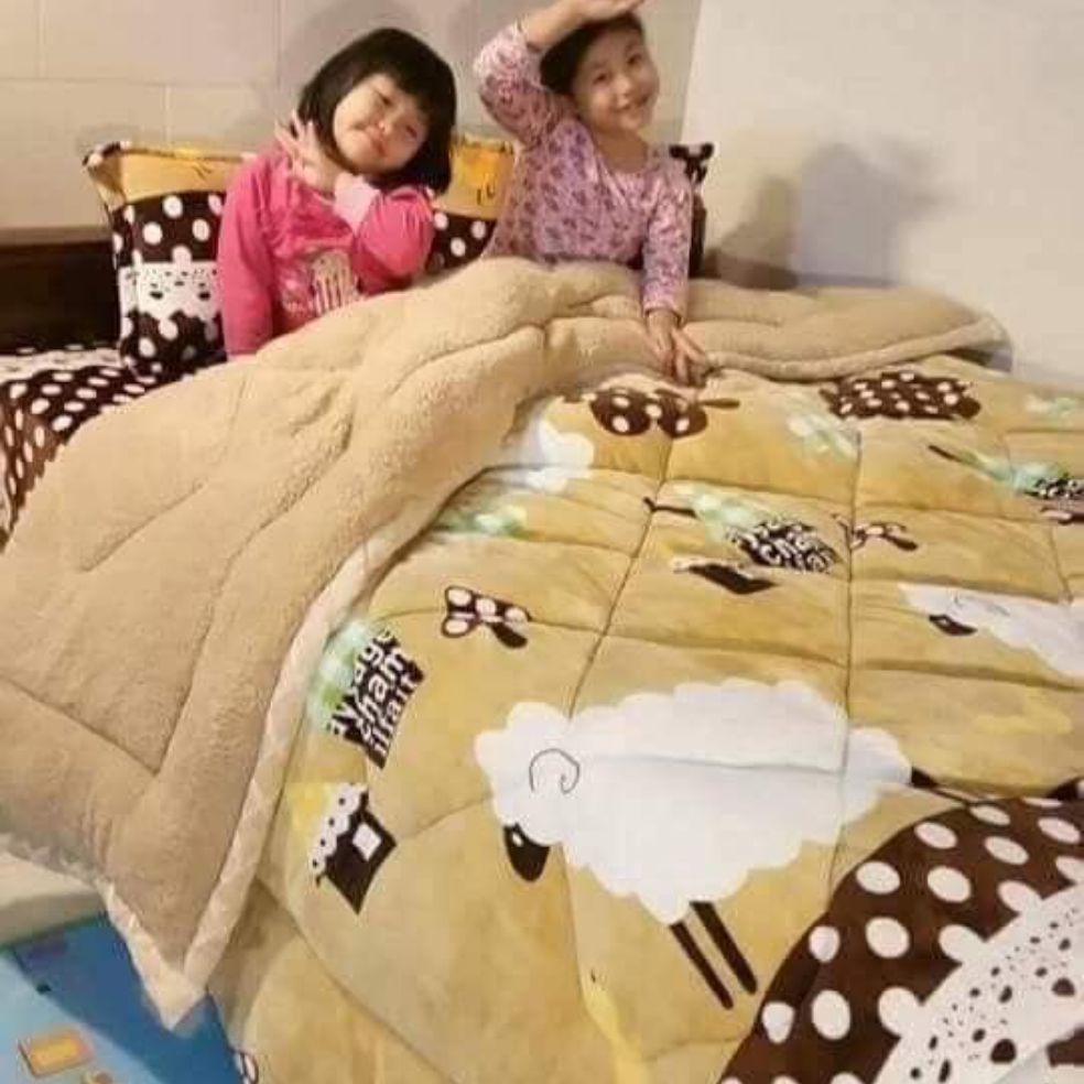 Chăn Mền Mùa Đông Đại Hàn Ấm Áp Mềm Mịn