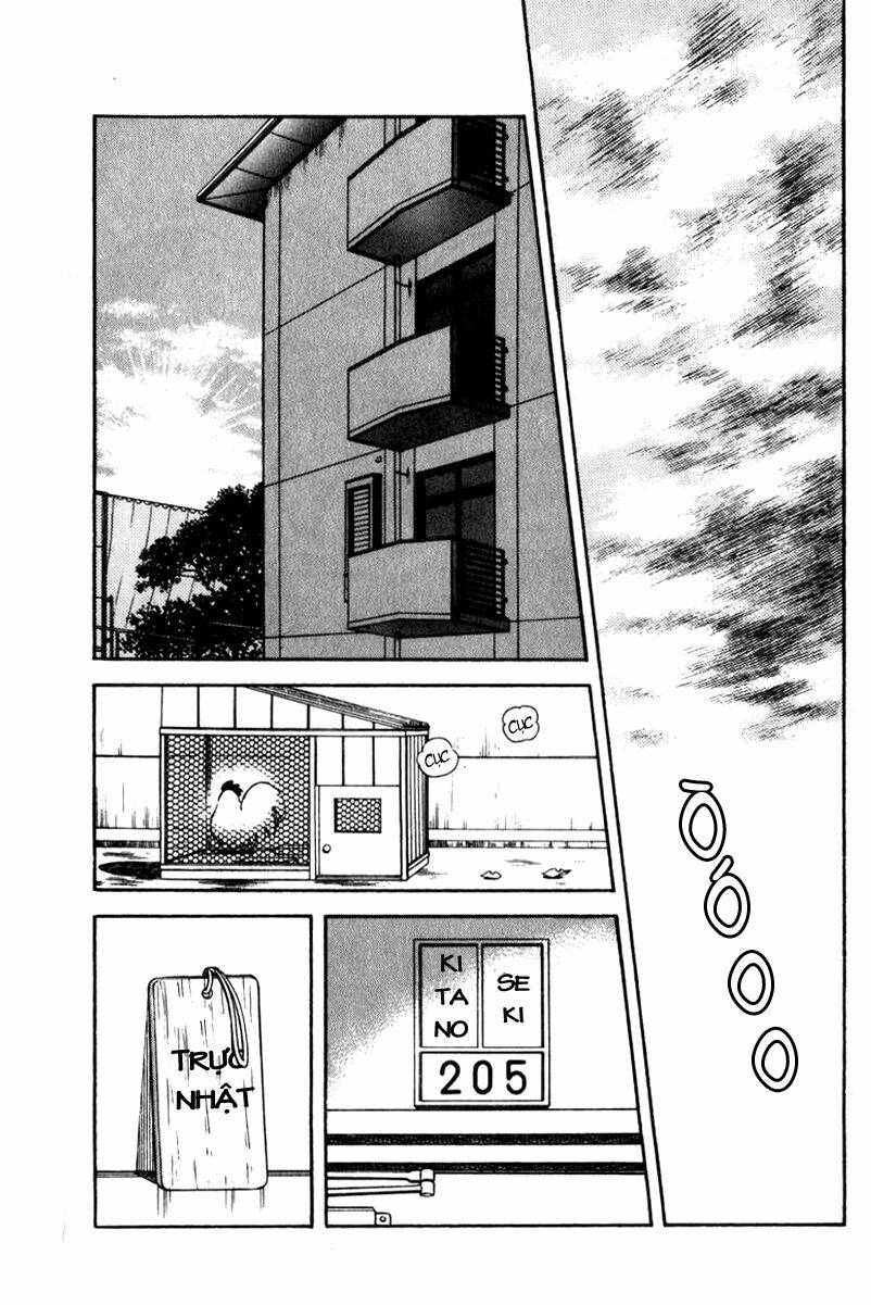 rough - ngọc thô chapter 34 3