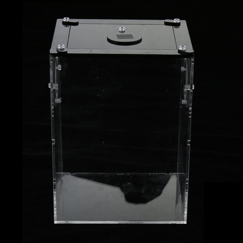 Mini Reptile Acrylic Terrarium Full View Visually Reptile Habitat Box