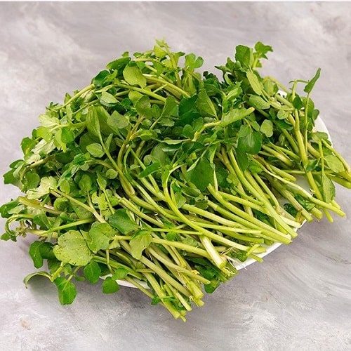 Hạt Giống Rau Cải Xoong Giàu Dinh Dưỡng
