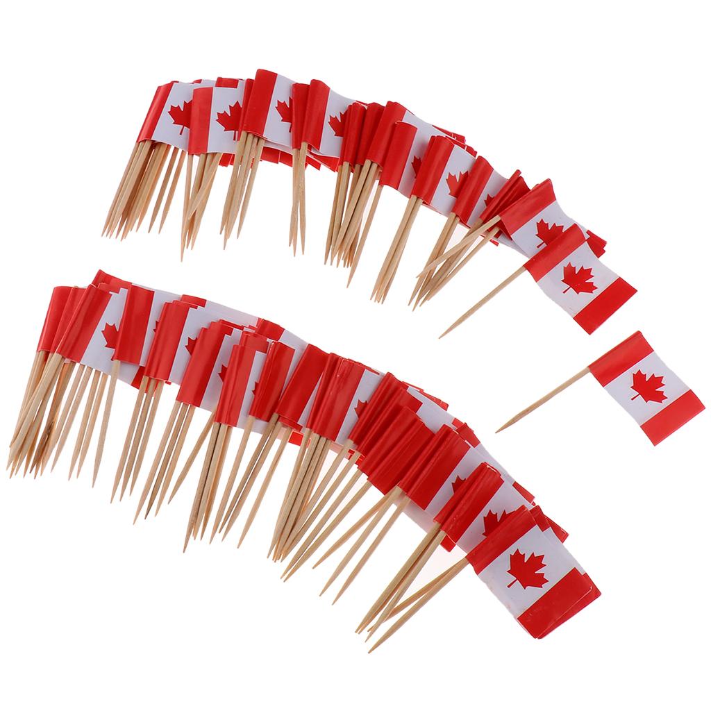 100 Pieces Decorative Flag Toothpicks Party Food Decorations