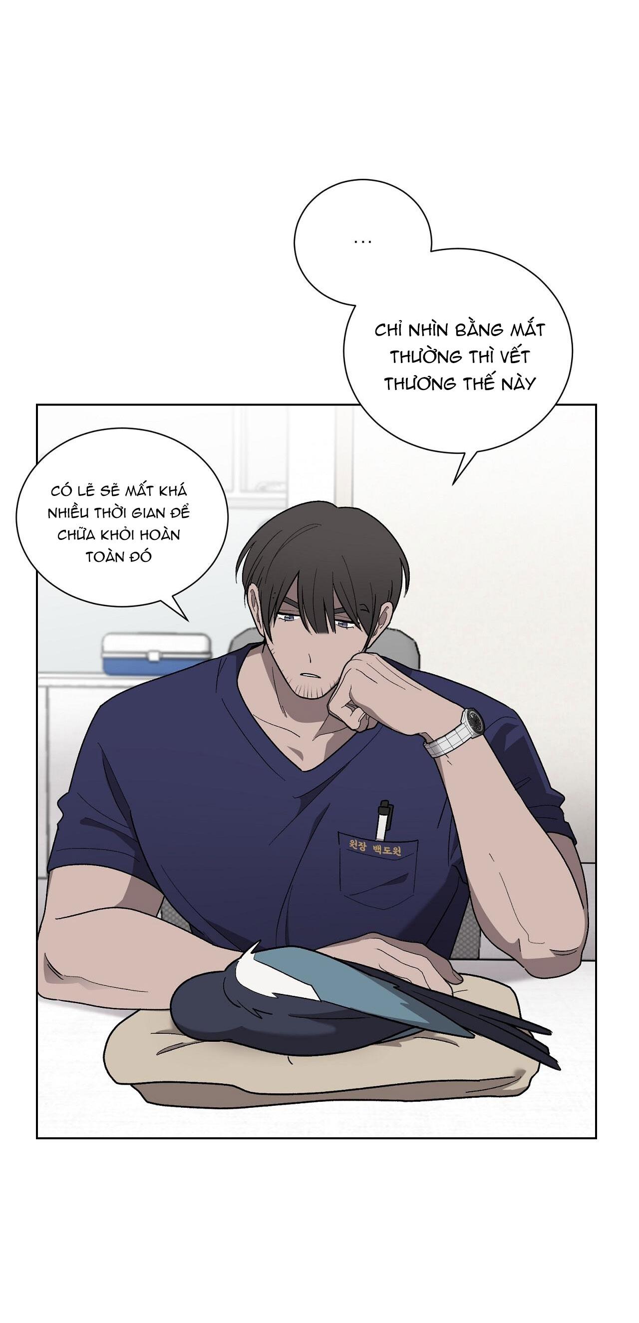 khi chim thước đến chapter 13 14