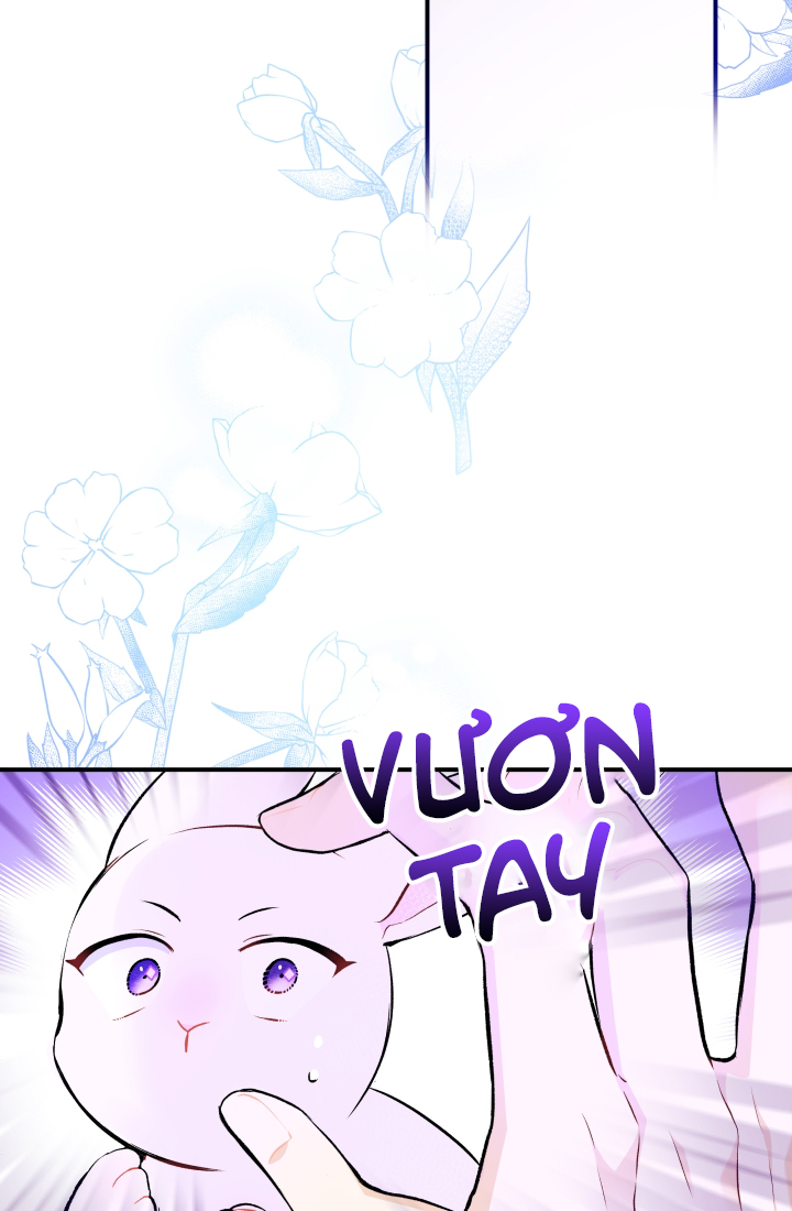 mối liên kết giữa báo đen và bé thỏ chapter 3 28