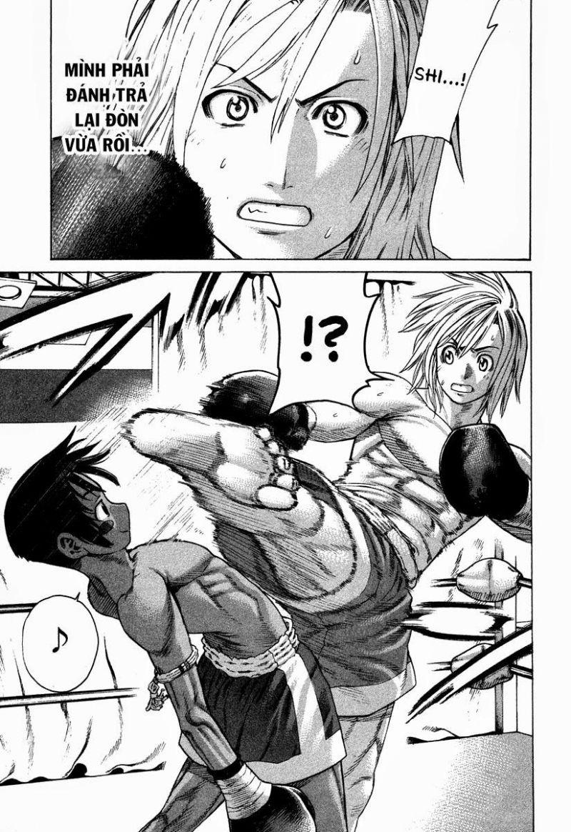 karate shoukoushi kohinata minoru chapter 179 15