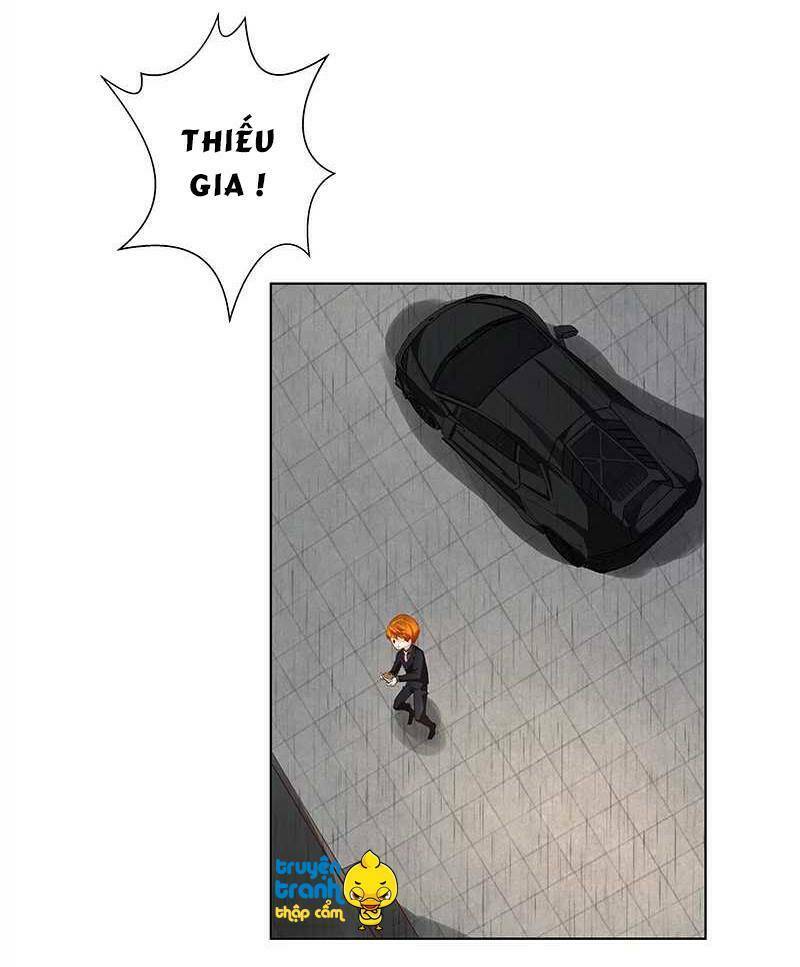 cường sủng hào môn tiểu manh thê chapter 39 10