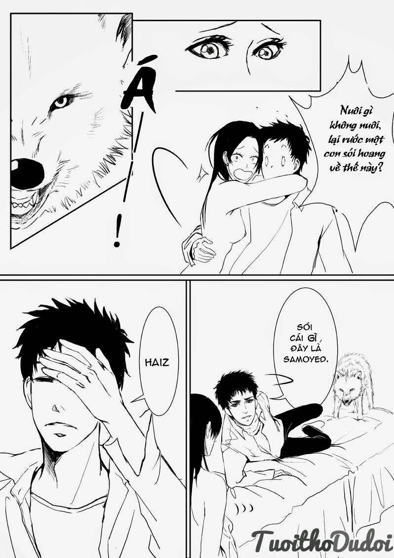 sự mê hoặc của sói chapter 7 8
