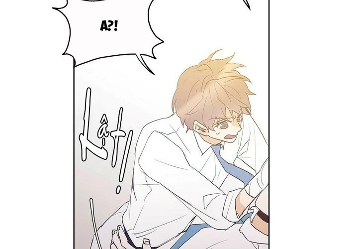 guide cấp b chapter 49 54