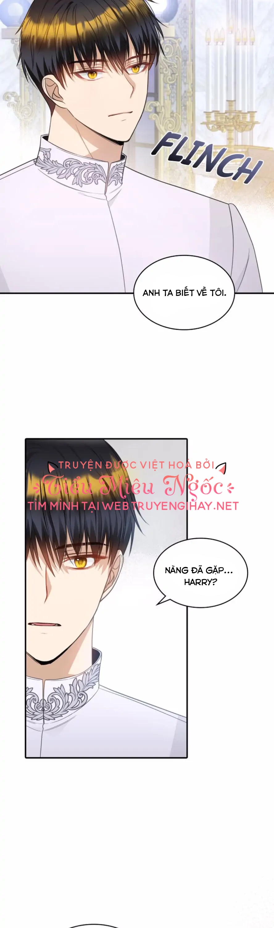 mặt nạ của hoàng đế chapter 48 19