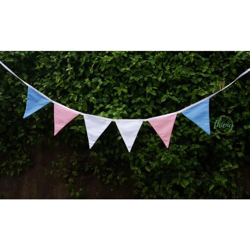 Dây cờ tam giác nhiều màu cầu vồng, trang trí decor, dây cờ Transgender chuyển giới LGBTQ+ Flag
