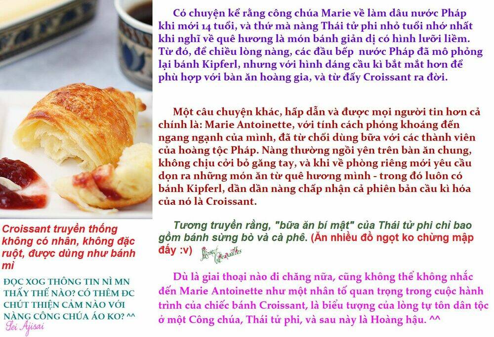 versailles no bara chapter 13 35