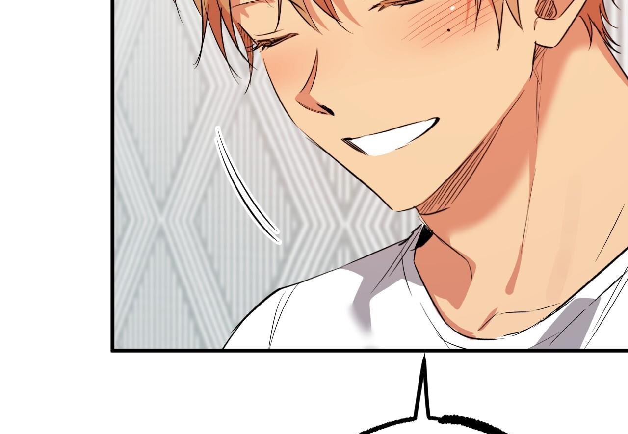 những chú thỏ của hapypy chapter 60 223