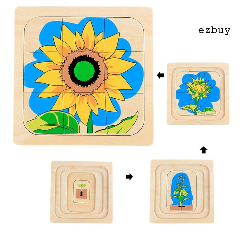 EY-Wooden Cartoon Man Woman Frog Sunflower Growth Process Puzzle Education Kids Toy