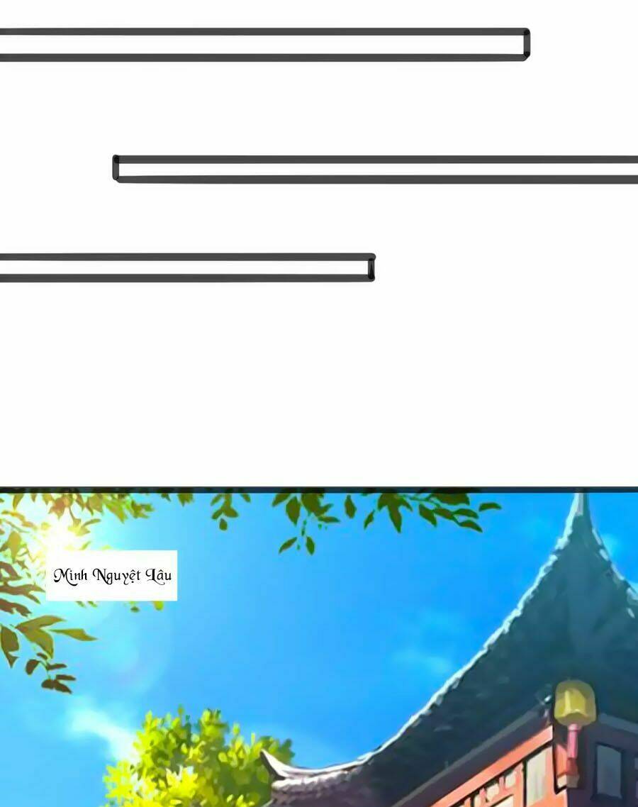 thỏ yêu tiểu vương phi chapter 80 8