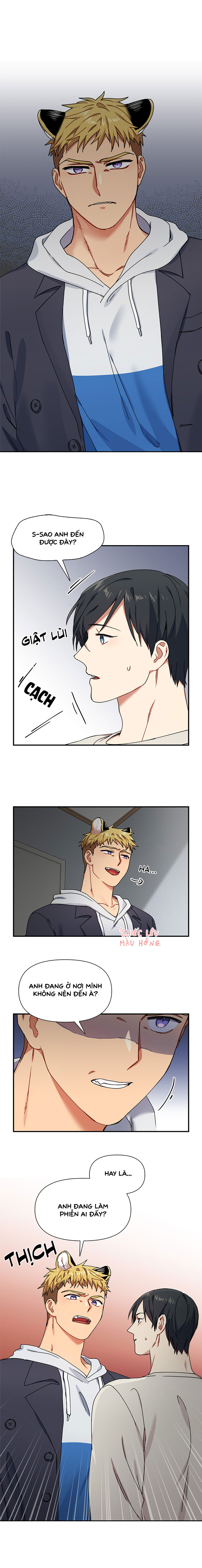 ngày cưới của ngài hổ chapter 15 1