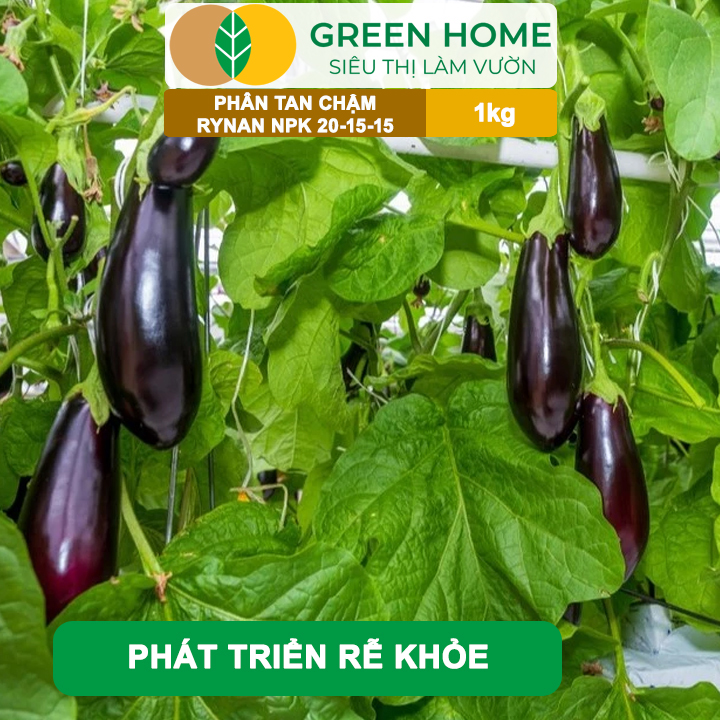Phân Tan Chậm GreenHome, Rynan NPK 20-15-15, Túi 1kg, Dùng Cho Loại Cây Họ Leo Bầu Bí, Mướp, Dưa Leo