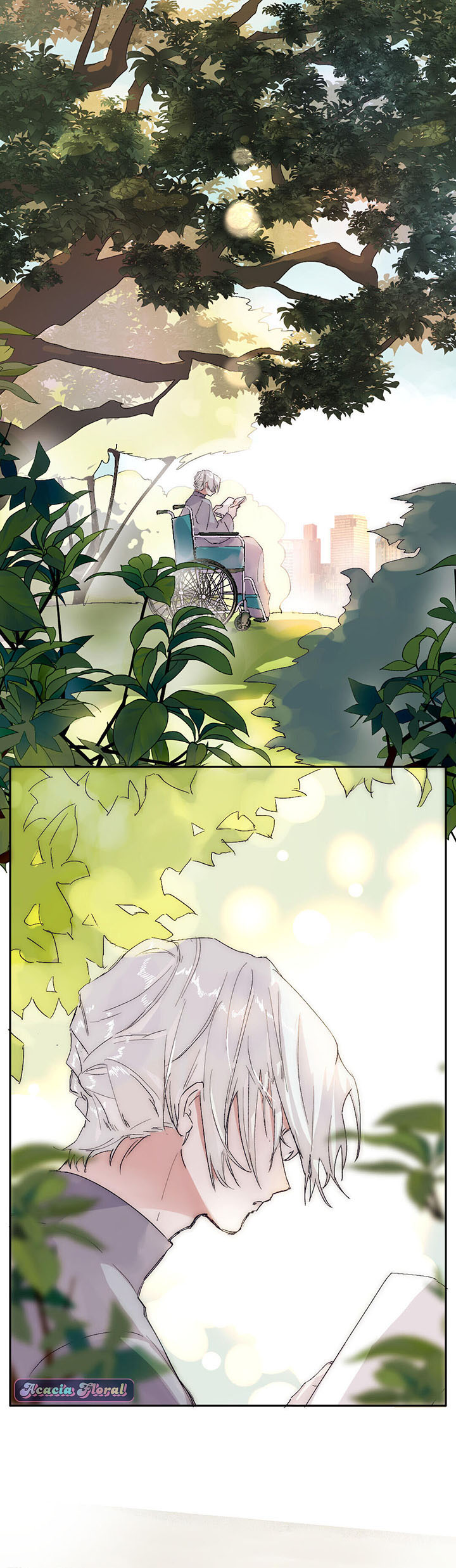 ngủ mê trong trang sách của tôi chapter 6 3