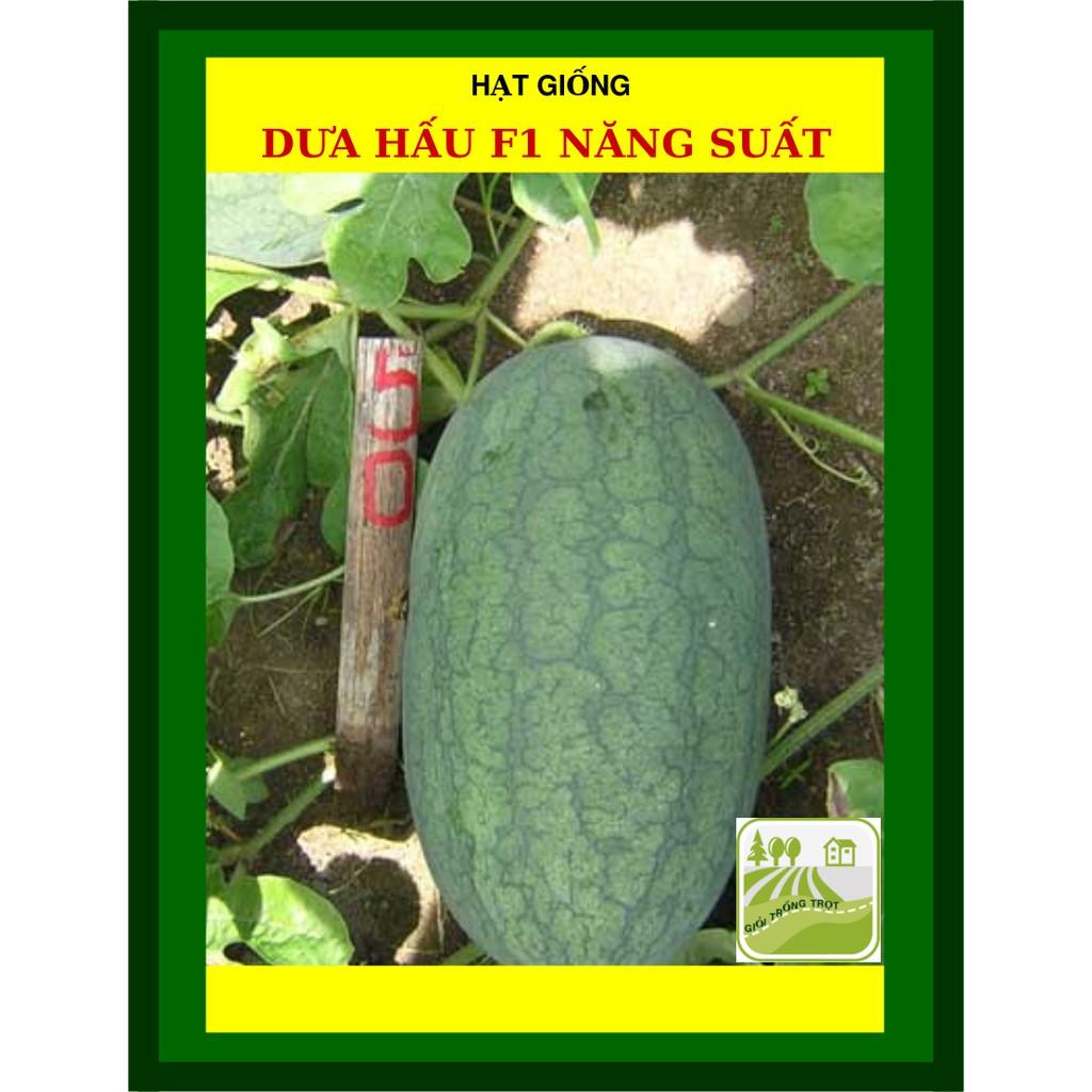 Hạt Giống Dưa Hấu F1 Năng Suất Cao Gói 2gram