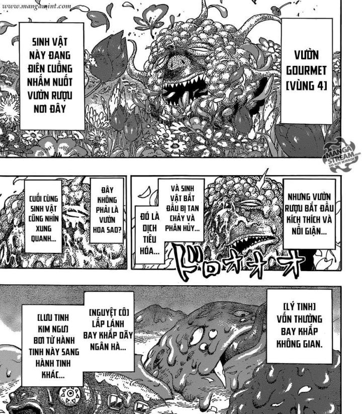 thánh tỏi sành ăn chapter 353 21