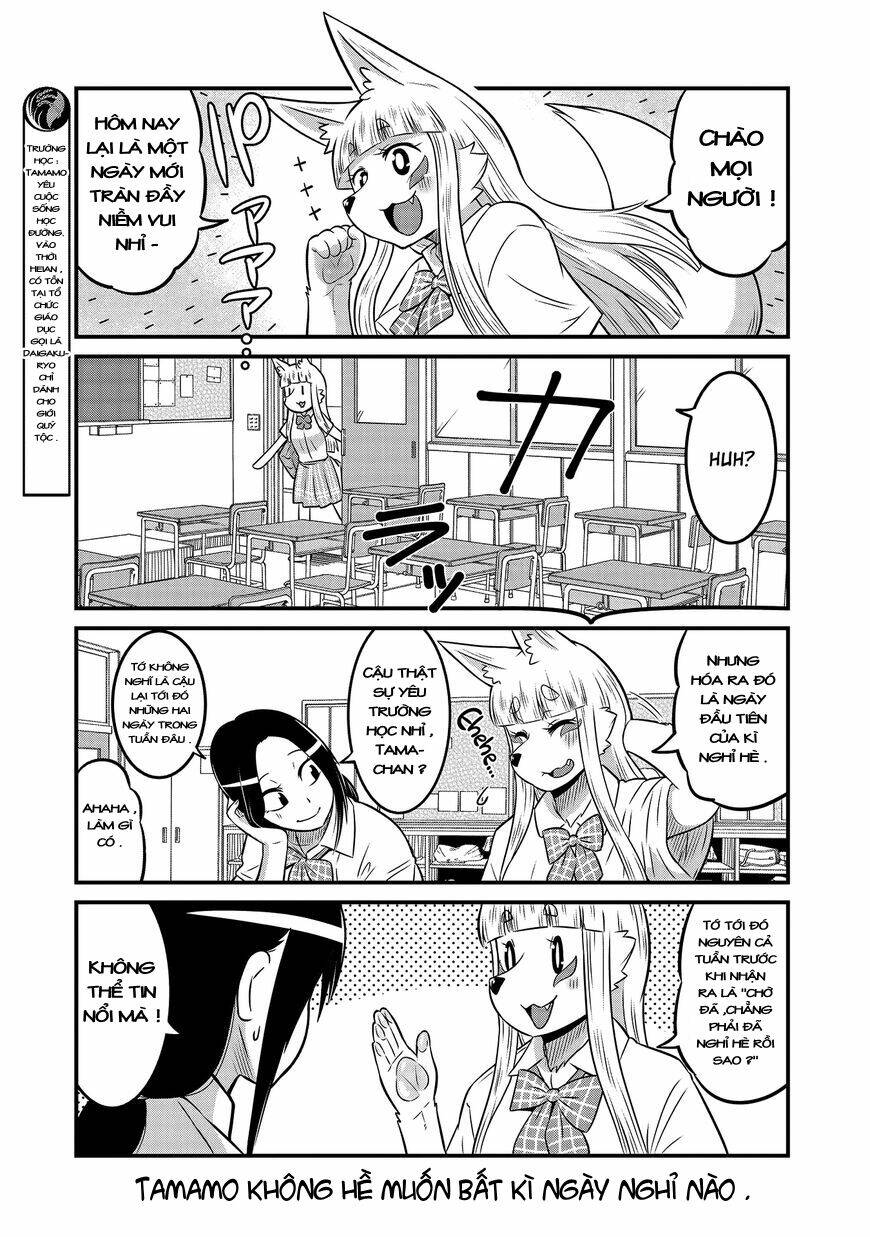 high school inari tamamo-chan ! chapter 16 7