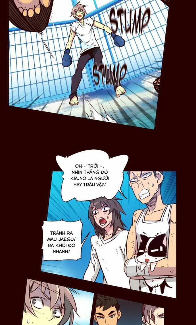 nữ sinh trường wilds chapter 173 5