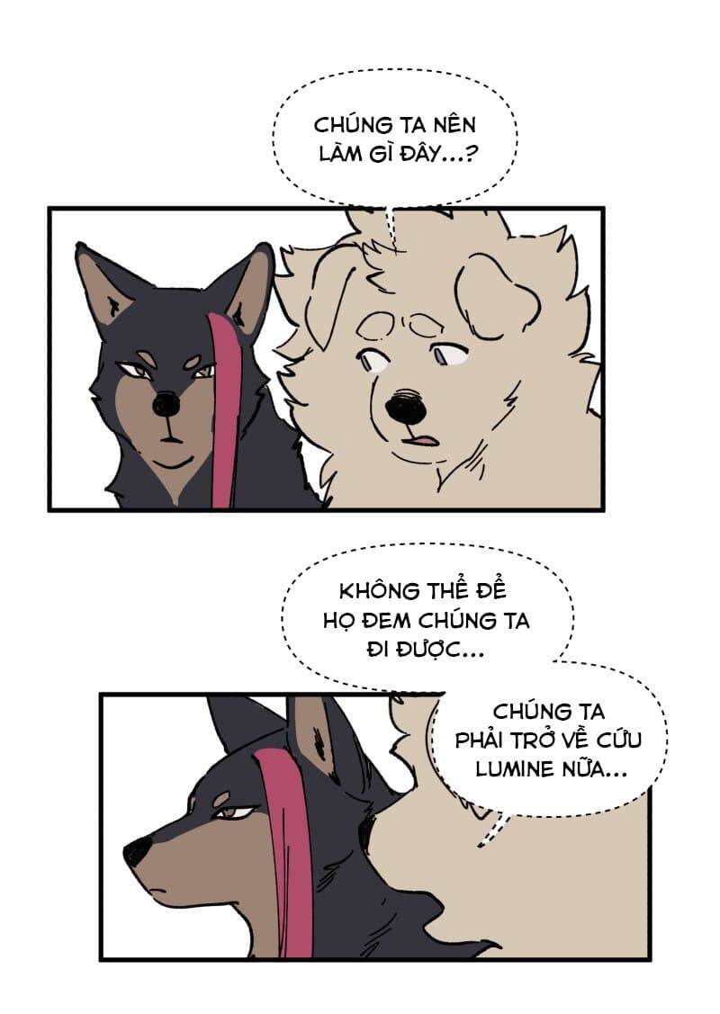 lumine - cội nguồn ánh sáng chapter 149 20