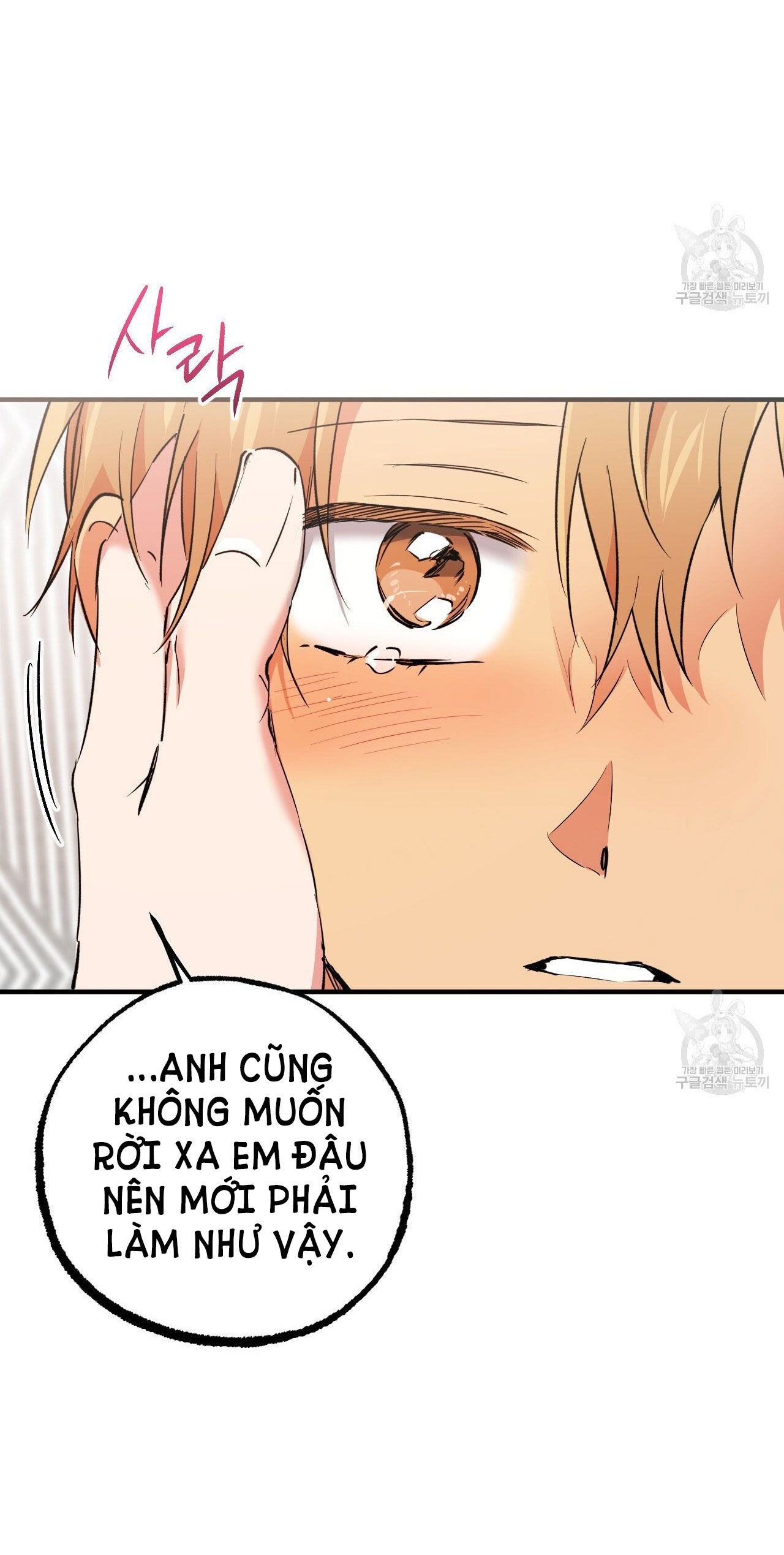 những chú thỏ của hapypy chapter 61.1 18