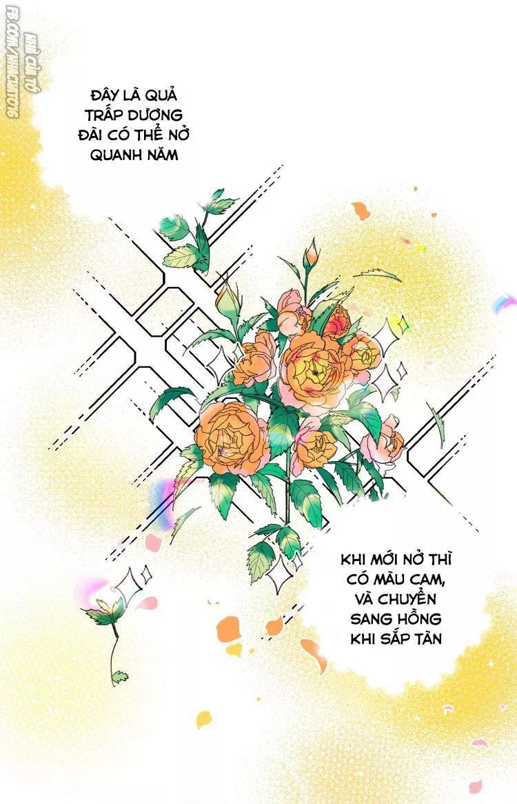 99 độ f - talk to me chapter 19 12