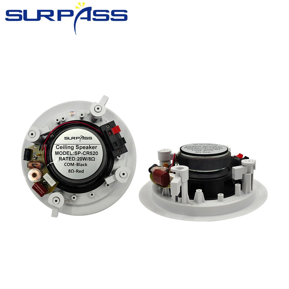 Aiyima 2 Mini Loa Tweeter Trình Điều Khiển 6Ohm 20W Màng Lụa Loa Neodymium Loa Treble Cho Ngôi Nhà Mô âm Thanh Xe Hơi