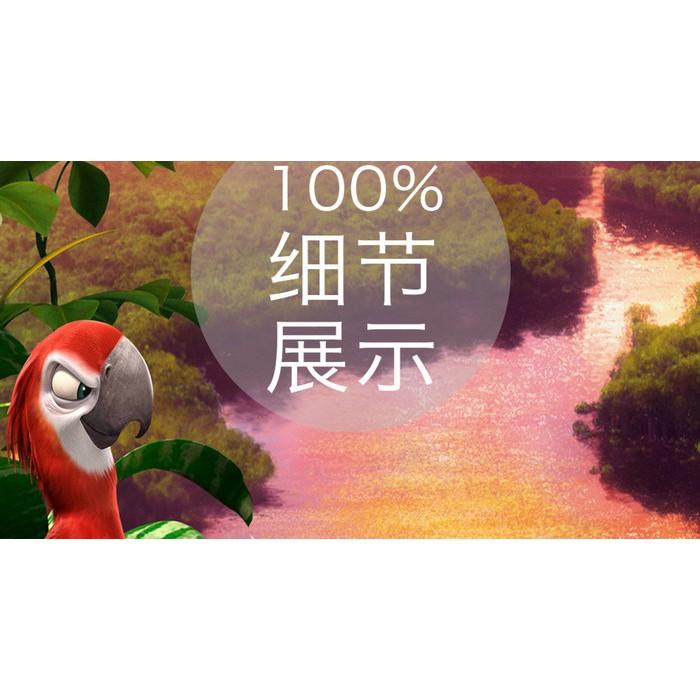 Tranh dán tường 3D Vẹt Nam Mỹ MS03