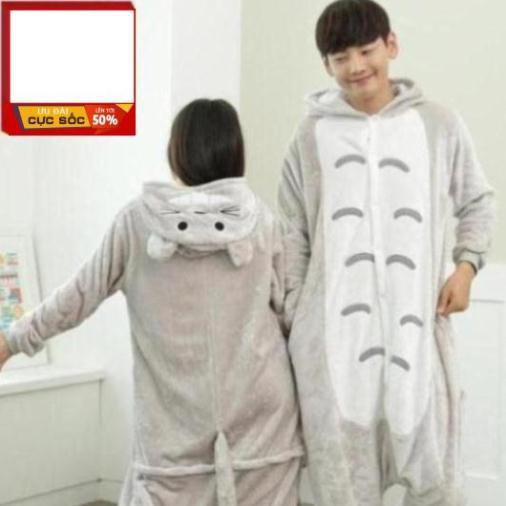 Bộ Đồ Thú Totoro