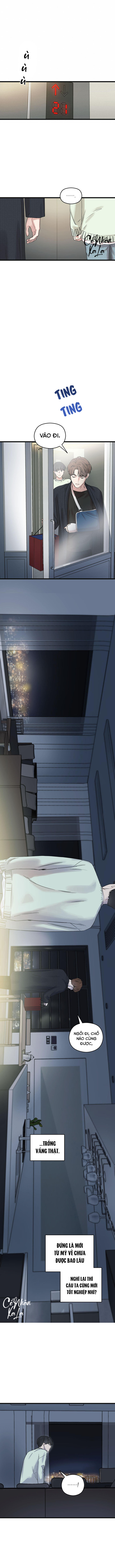 trùng phùng chapter 11 10