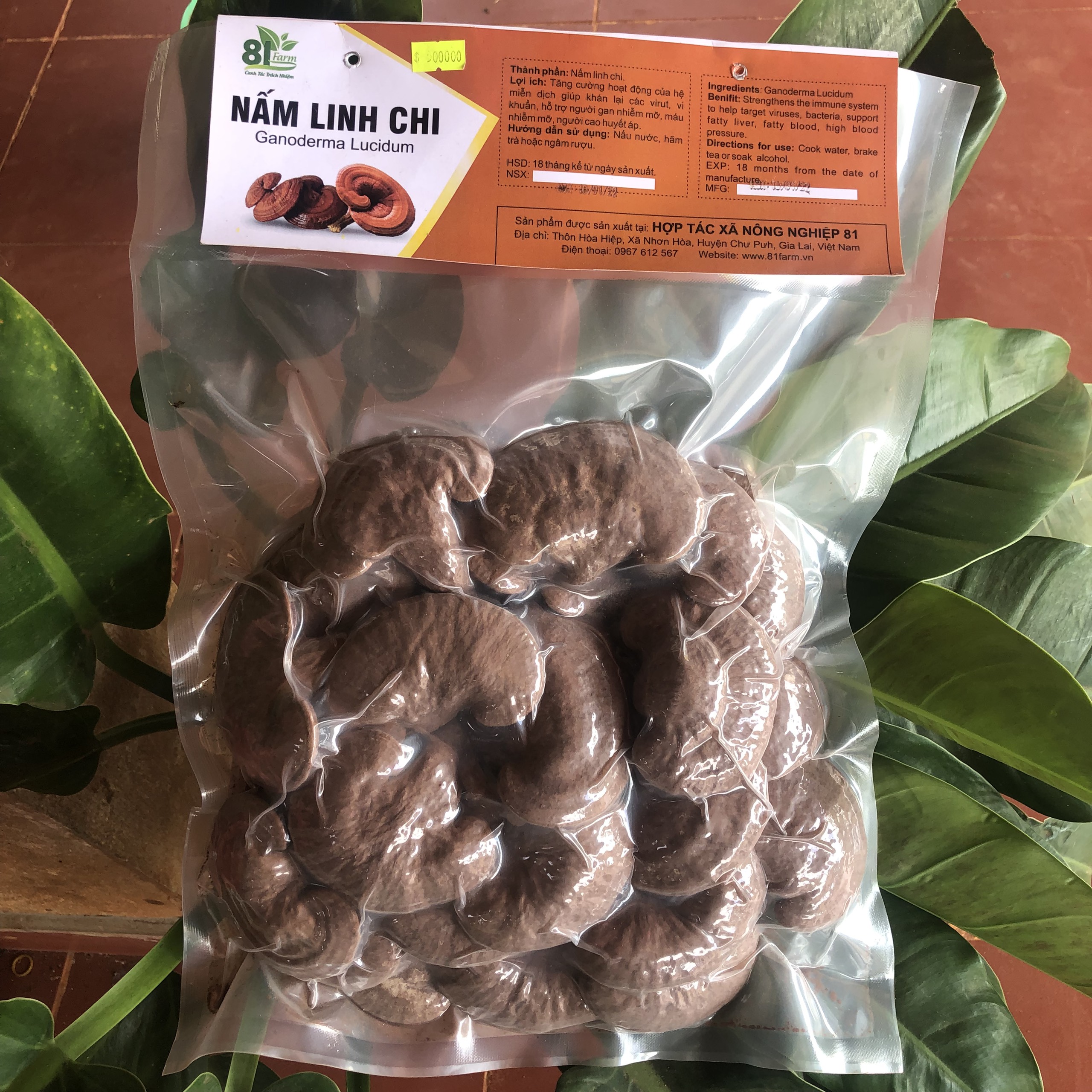 Nấm Linh Chi Đỏ Nguyên Bào Tử 500 Gram