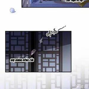 sủng phi của vương chapter 132 10