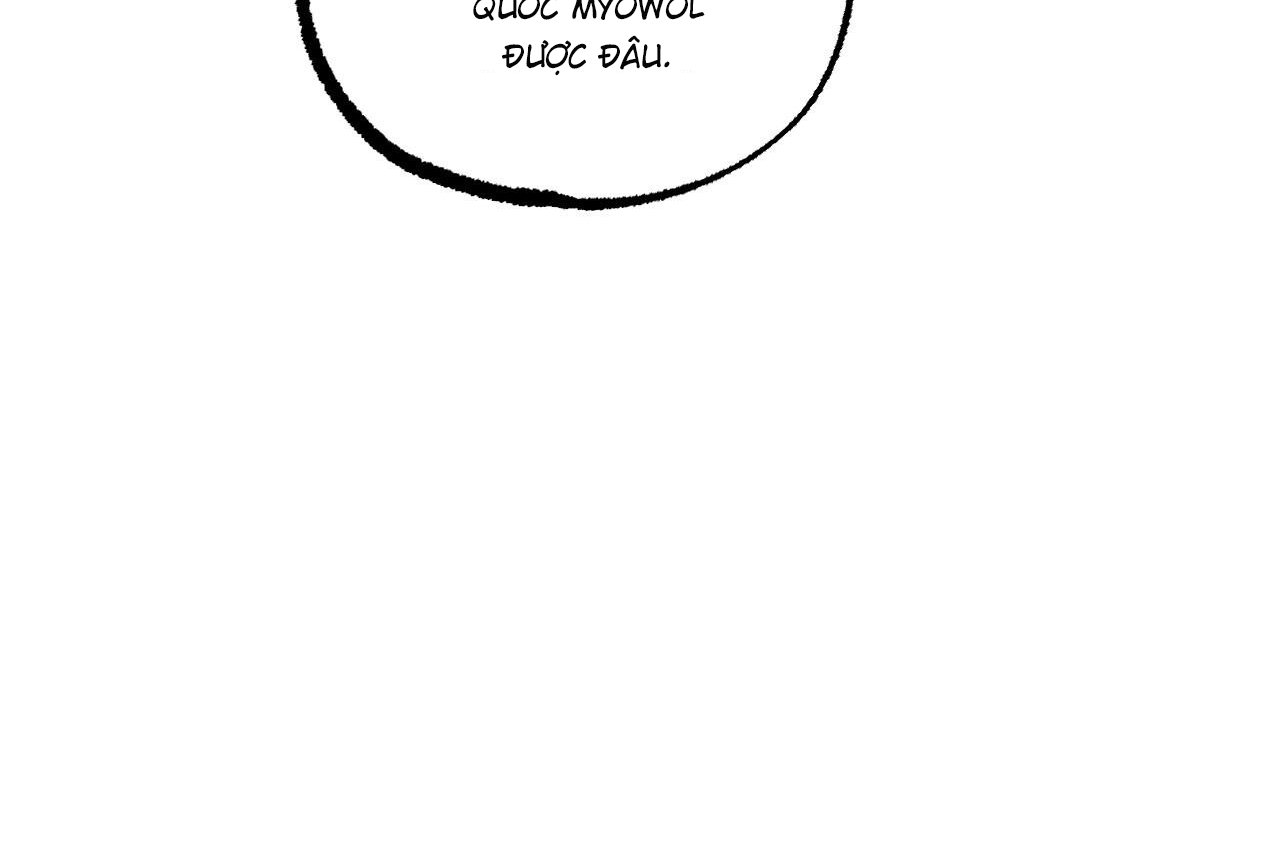 những chú thỏ của hapypy chapter 61 53