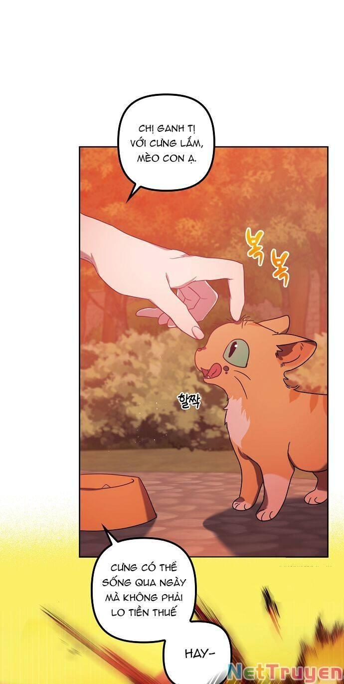 cuộc sống giản dị của người độc thân bị bỏ rơi chapter 4 59