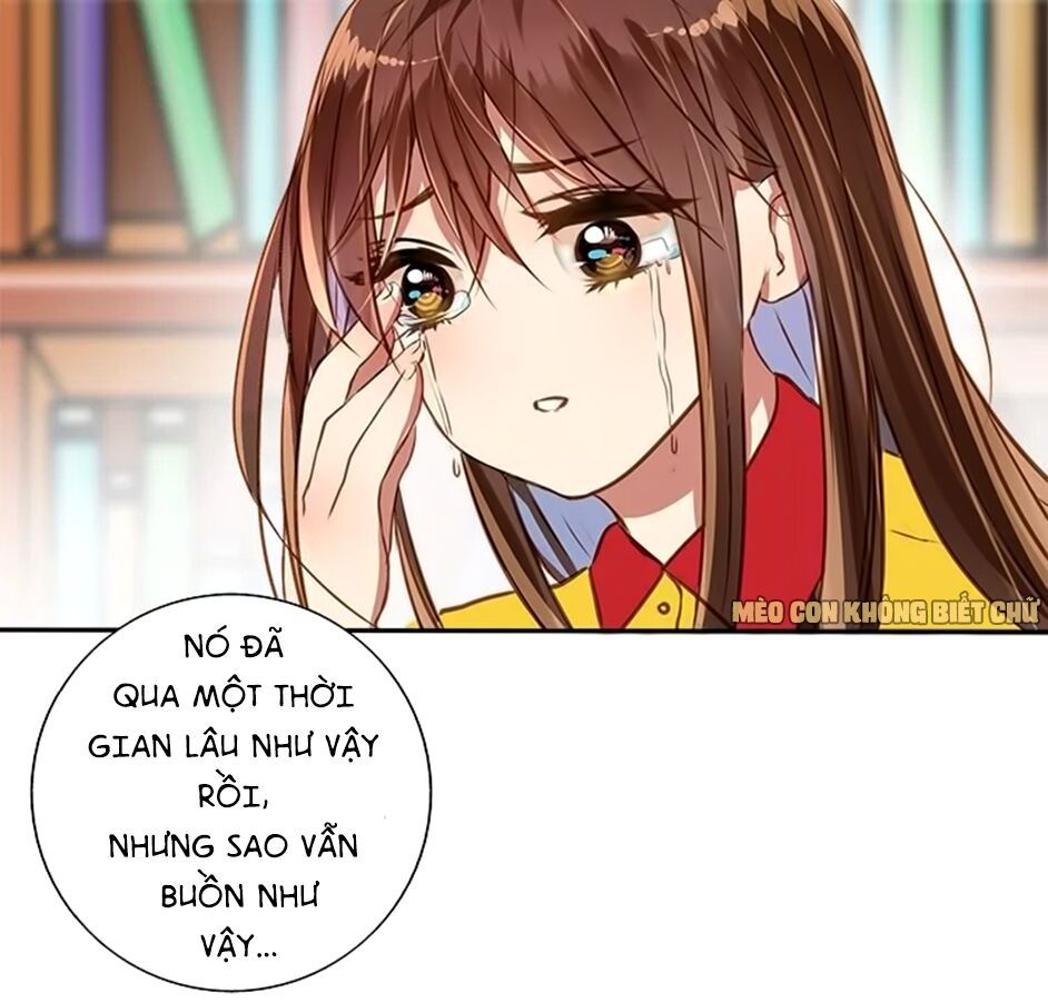 không có ssr làm sao để yêu chapter 7 22