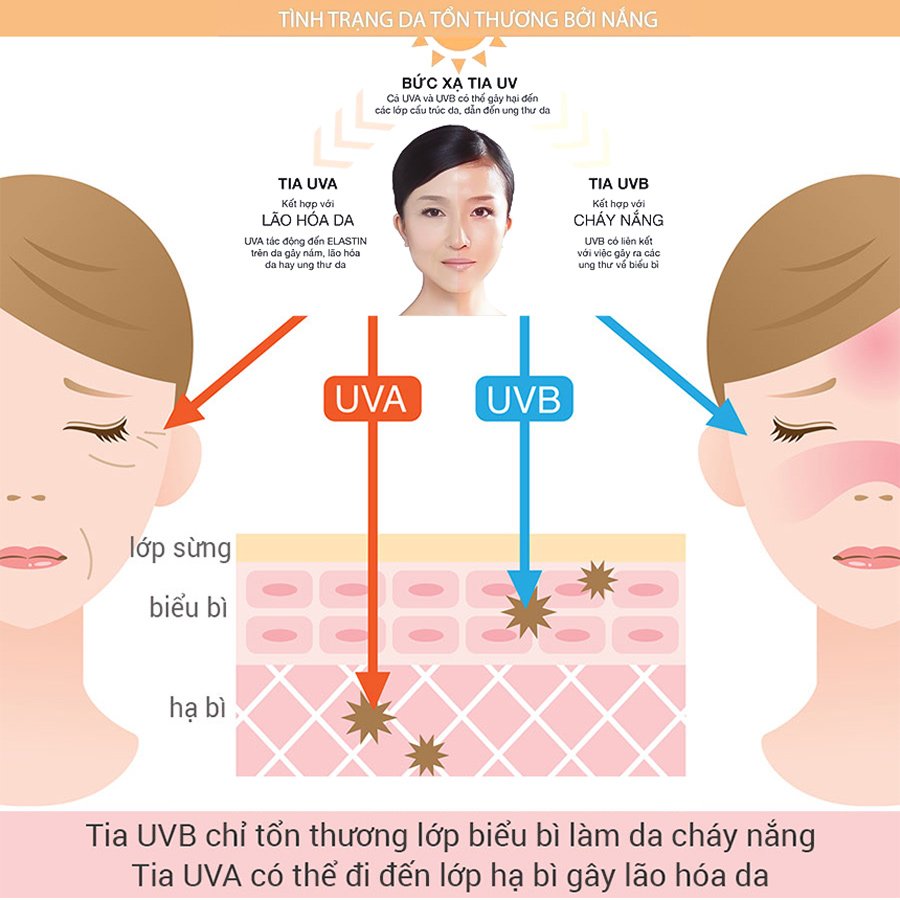 Kem Chống Nắng VACCI Dành Cho Mặt &amp; Toàn Thân - LUXE COLLECTION SUN CREAM SPF70 PA+++ 70ML